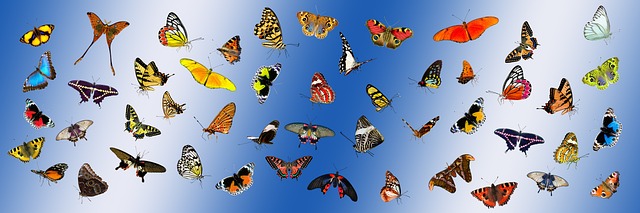 PHP ile E-Ticaret Sitesi Geliştirme PHP ile E-Ticaret Sitesi Geliştirme